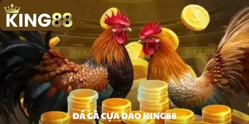 Đá gà cựa dao – Trò chơi chọi kê hàng đầu năm 2026 1 Đá gà cựa dao – Trò chơi chọi kê hàng đầu năm 2025