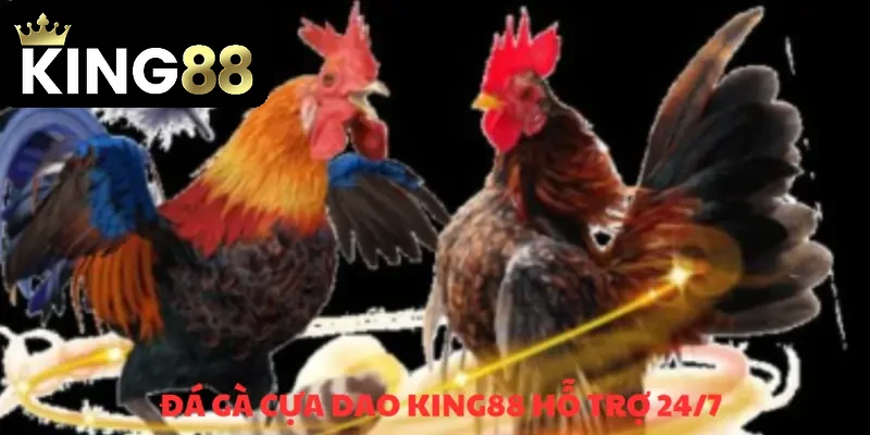 Đá gà cựa dao – Trò chơi chọi kê hàng đầu năm 2026 4 Chăm sóc khách hàng không gián đoạn, phục vụ 24/7