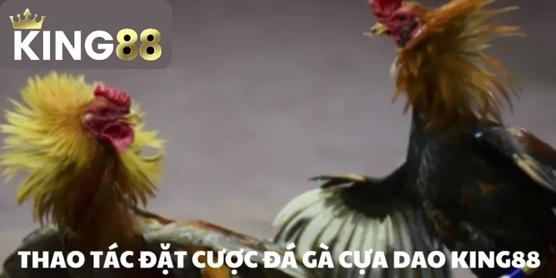 Đá gà cựa dao – Trò chơi chọi kê hàng đầu năm 2026 3 Cuộc chiến diễn ra một cách chóng vánh